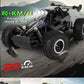 New RC Car 1:16 2.4Gh 20KM/H Model With LED Lights 2WD Off-road Remote Control