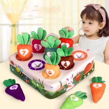 Baby Montessori Toy Toddler Fine Motor Skills Training Color Learning Educational Toys
