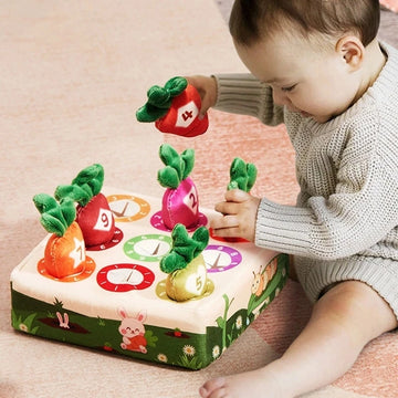 Baby Montessori Toy Toddler Fine Motor Skills Training Color Learning Educational Toys