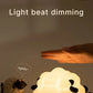 LED Night Lights Cute Sheep Panda Rabbit Silicone Lamp USB Rechargeable Timing Bedside Decor Kids Baby nightlight Birthday Gift