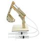 DIY Science Toys Children Educational STEM Projects Kits 3D
